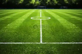 叶诗文,老兵新巅峰,享受竞技之,世界杯外围,世界杯投注,2026世界杯,赛事分析,赔率预测