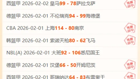 “鹏城守护者彭鹏伤情揭秘，严重程度引关注”